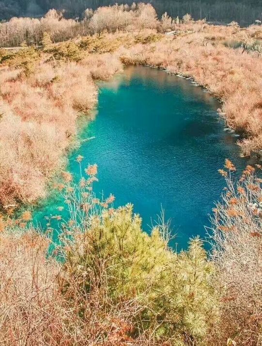 古诗词心有千千结,诗句心有千千结