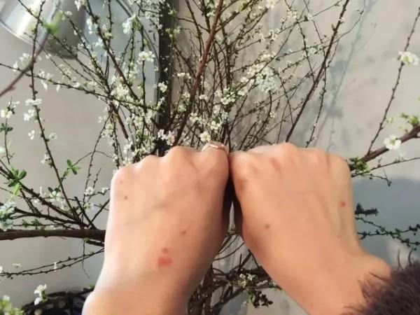 美则honeymate卫生巾,美则Honeymate