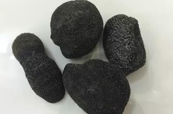 海参有上千种都是一样的吗,全世界海参有多少品种