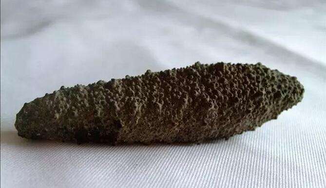 你知道世界上的鱼类有多少个,你知道的海底世界有多少种鱼