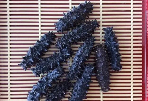 你知道世界上的鱼类有多少个,你知道的海底世界有多少种鱼