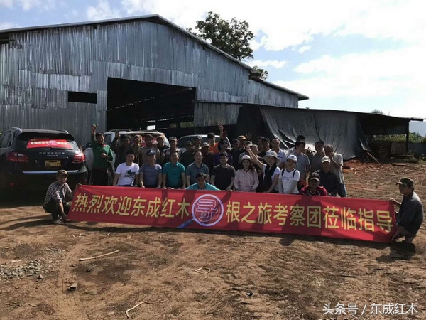 东成红木官网,东成红木定制视频