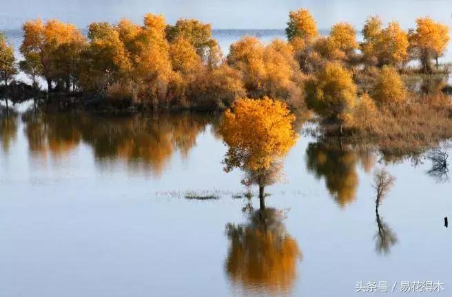 凉州词王之涣台词,王之涣凉州词简介
