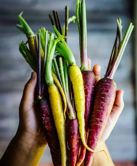 冬吃萝卜夏吃姜如今吃萝卜正当季,冬吃萝卜夏吃姜这样吃萝卜很健康