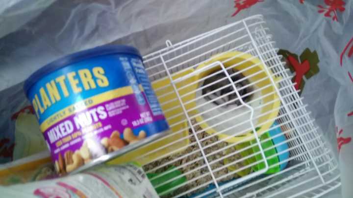 汤加和斐济哪个国家大,斐济国家主产什么