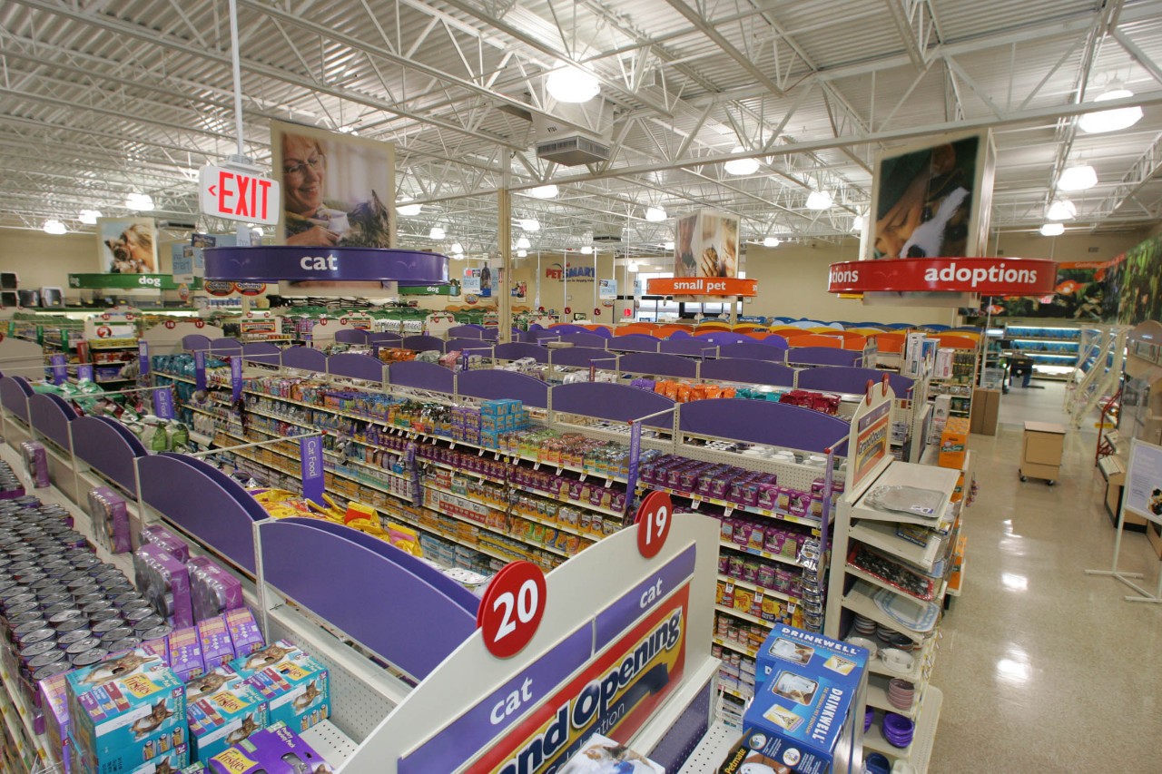 当狗炫起富来根本没人什么事儿了