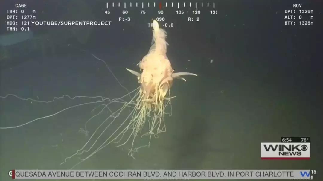 你不知道的飞天面条神教,中国人可以加入飞天面条神教吗