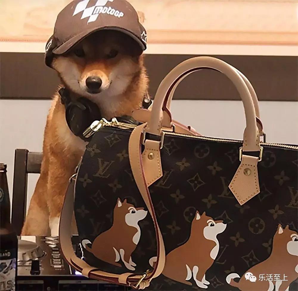 大牌生肖限定,lv新年限定包包