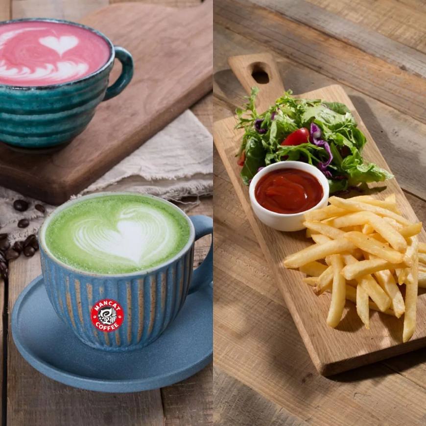 漫猫咖啡:小门店微投资,为你量身打造的偶像级猫星咖啡馆