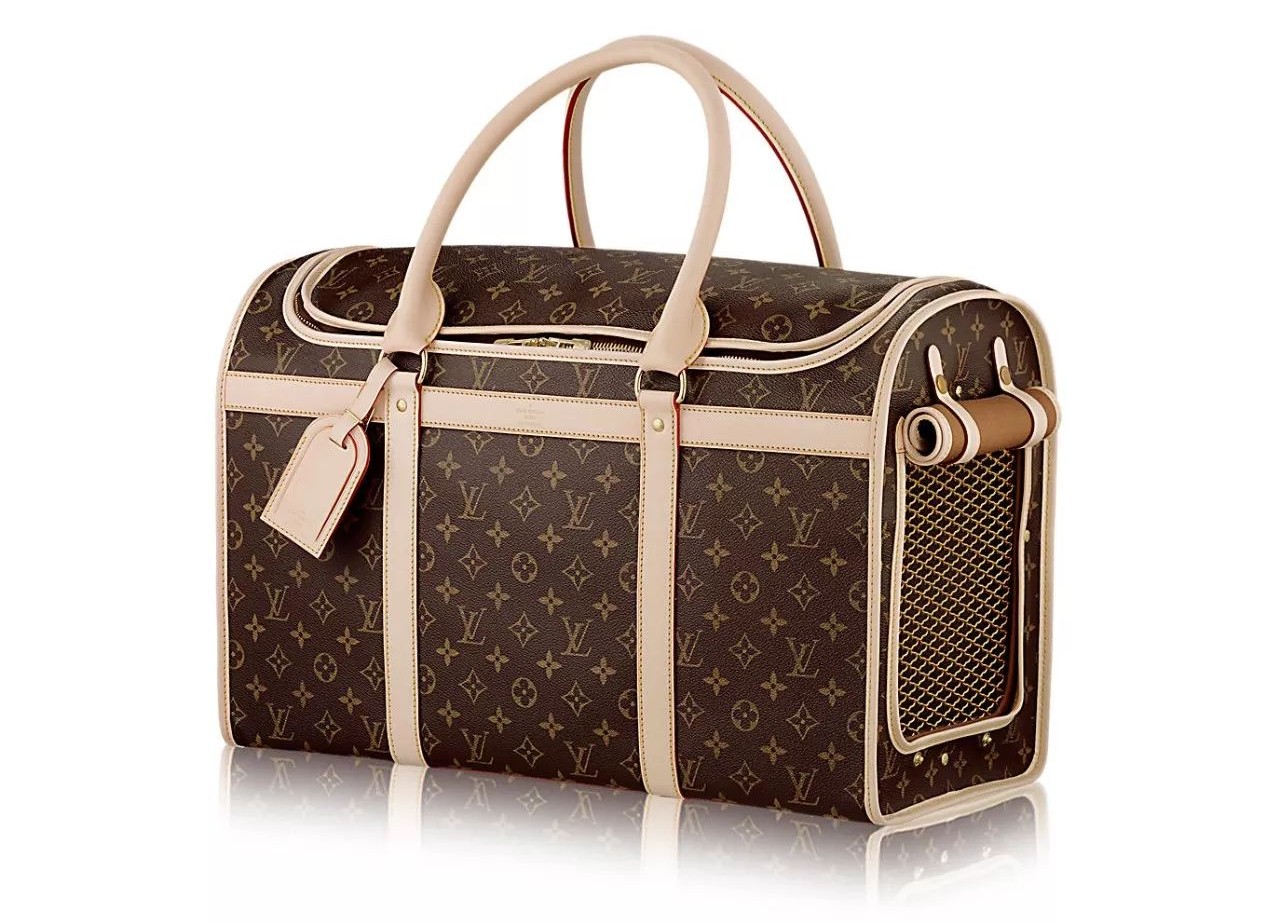 当狗炫起富来根本没人什么事儿了