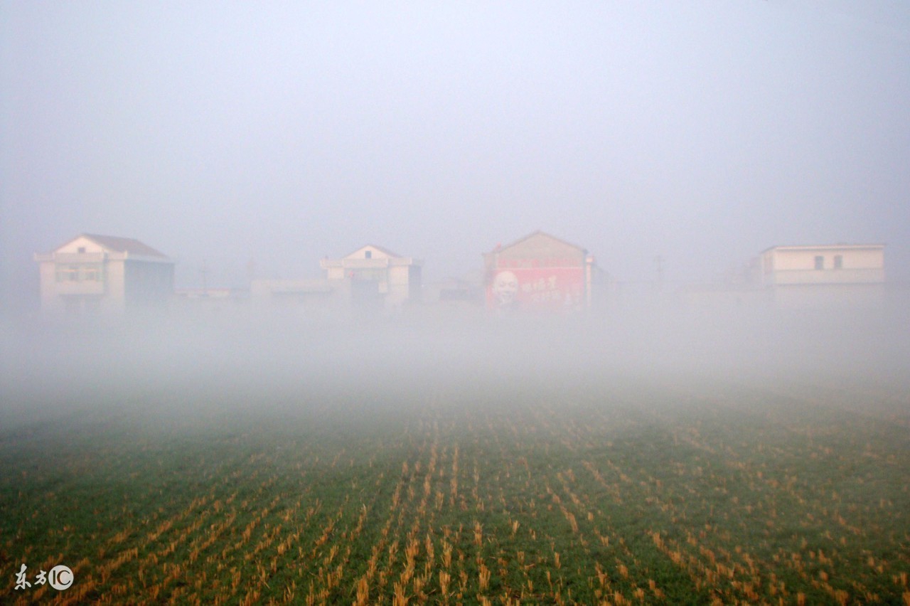 农谚俗语和天气预报哪个更靠谱,农村大雾是什么原因