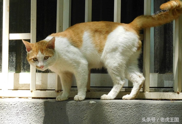 凡事留一手小说,凡事留一手出自哪一个电影