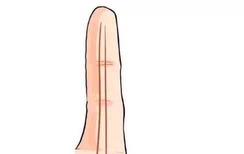 关于手纹的秘密,手纹密码