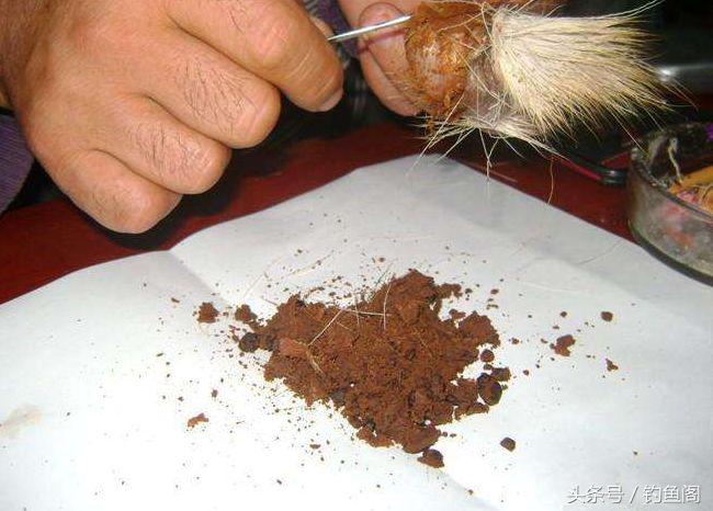 人工合成麝香泡酒钓鱼,麝香酒钓鱼的正确方法