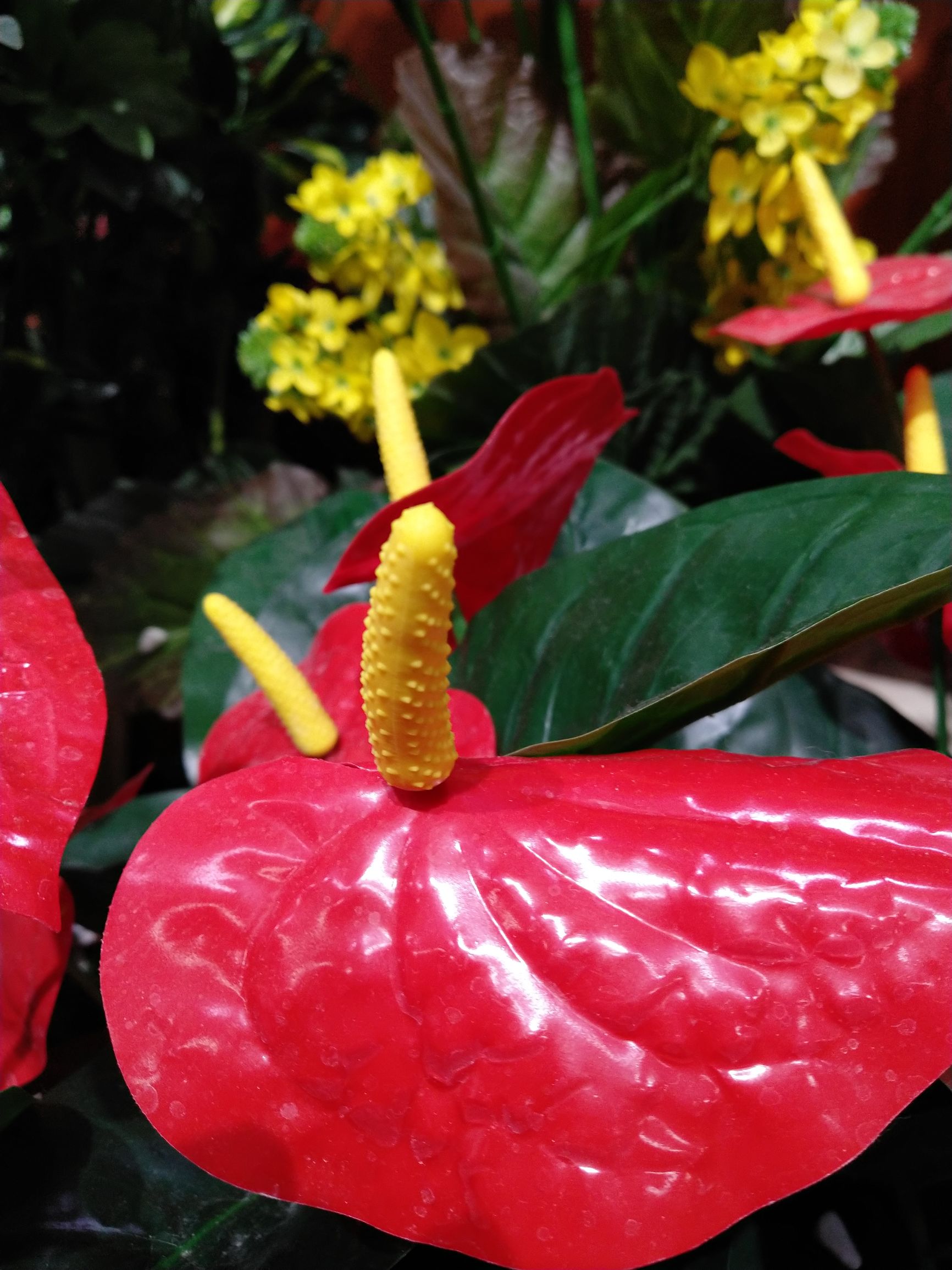 坚果pro2s为什么不建议买,坚果pro2处理器