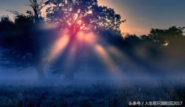 个人创业成功的十个要求