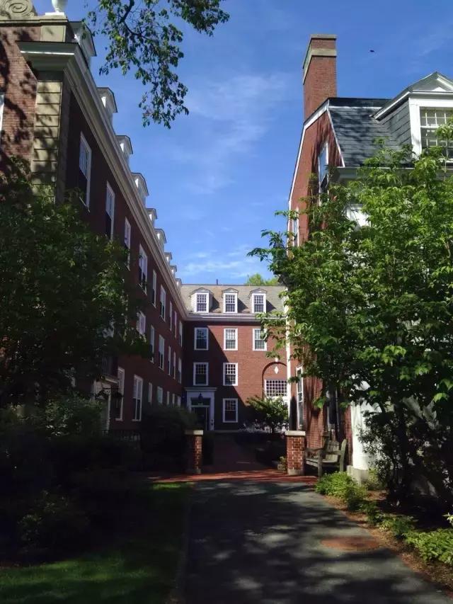 哈佛学长leo写了什么书,哈佛学长leo的一天