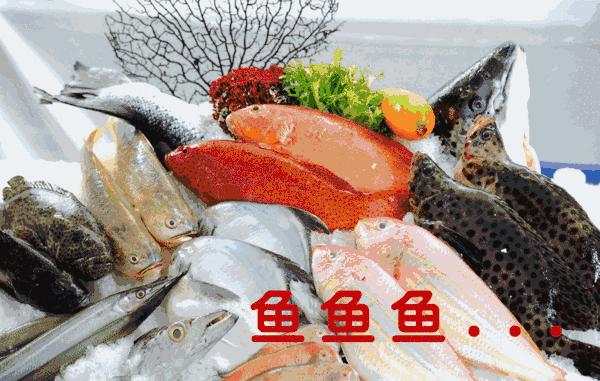 三亚旅游攻略海鲜码头,三亚看海美食攻略最值得去的地方