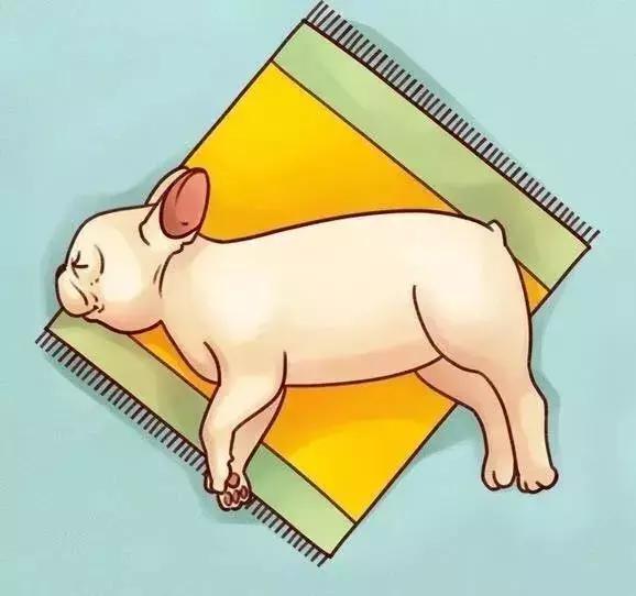 牛牛的睡姿,牛牛侧身睡觉好不好