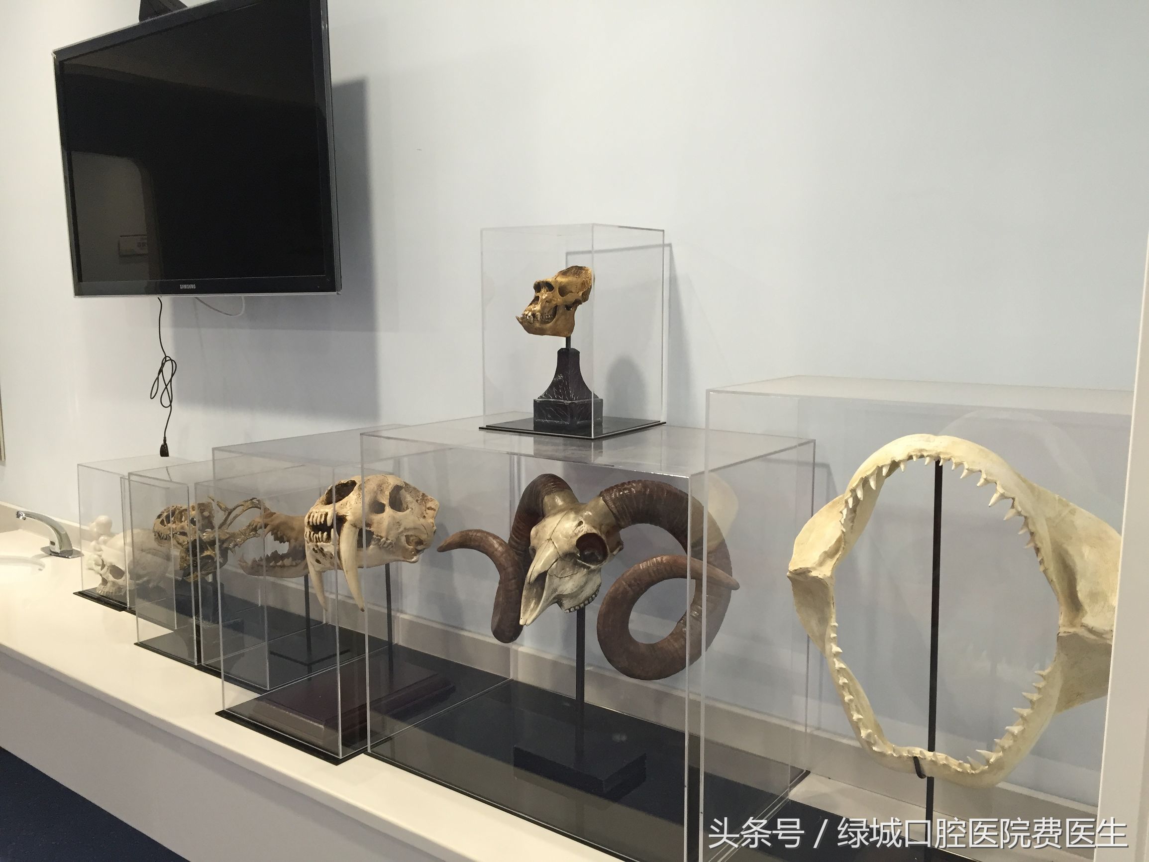 儿童口腔科的现状和未来发展趋势,新环境新起点新征程