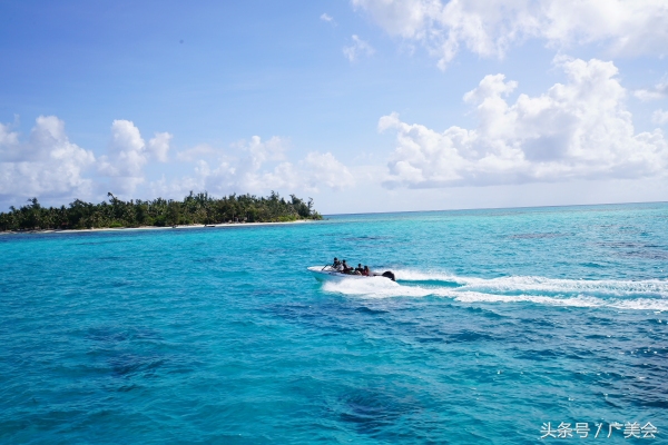 鑷┚娓稿厤绛惧矝濉炵彮,涓浗鎶ょ収濉炵彮鍏嶇