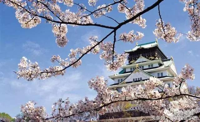 去新加坡旅游签证需要什么资料呢,新加坡旅游护照签证需要多久