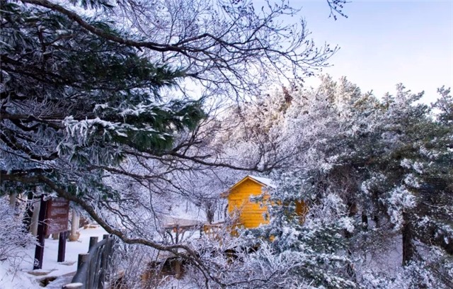 郑州周边好玩的地方推荐冬季,郑州周末去哪里玩不带孩子