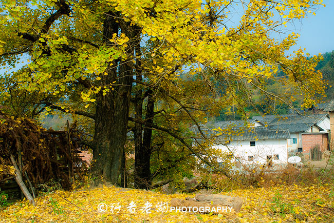 最新粤北环线规划图,广州粤北小环线