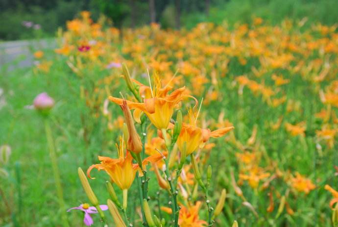 大同九寨沟风景图片,盘点大同最值得一去的旅游景点