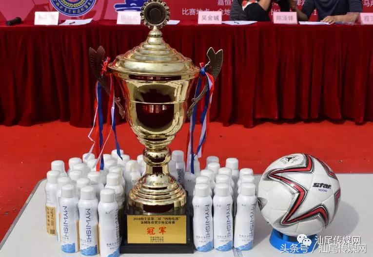 四海杯足球赛,海丰县足球协会杯足球赛