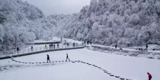 寒气席卷、叶汽成霜……陕西6处大美雾凇奇景上线！