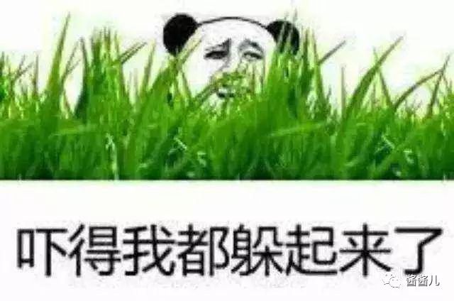 肌底精华液测评红黑榜,肌底液精华液分享推荐