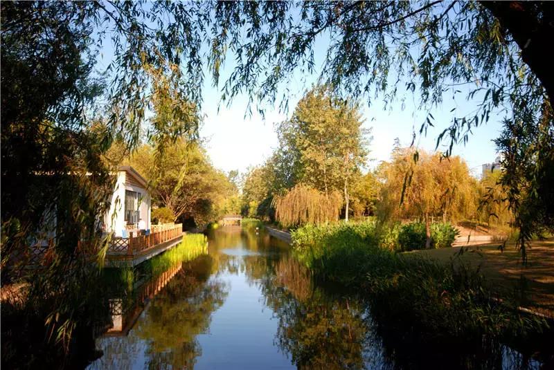 上海星级公园名单火热出炉,上海有什么5a级公园