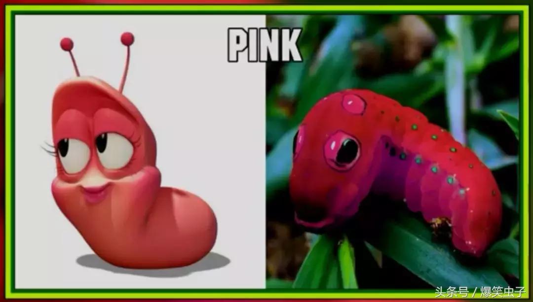 爆笑虫子小粉虫怎么来的,快速了解爆笑虫子