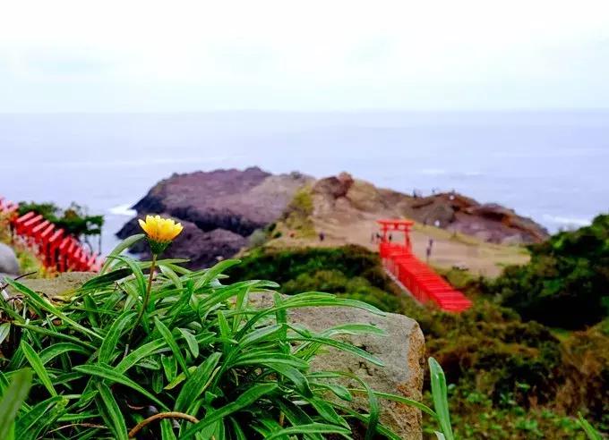 甯︿綘鍘绘棩鏈湅澶滄櫙,涓滀含甯︿綘娓歌鏃ユ湰缇庢櫙