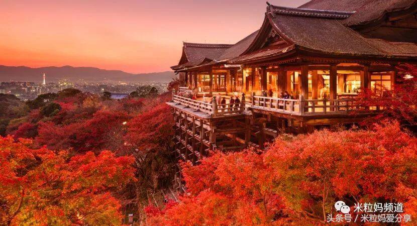 亲子游出境自由行,亲子游建议去的十个城市