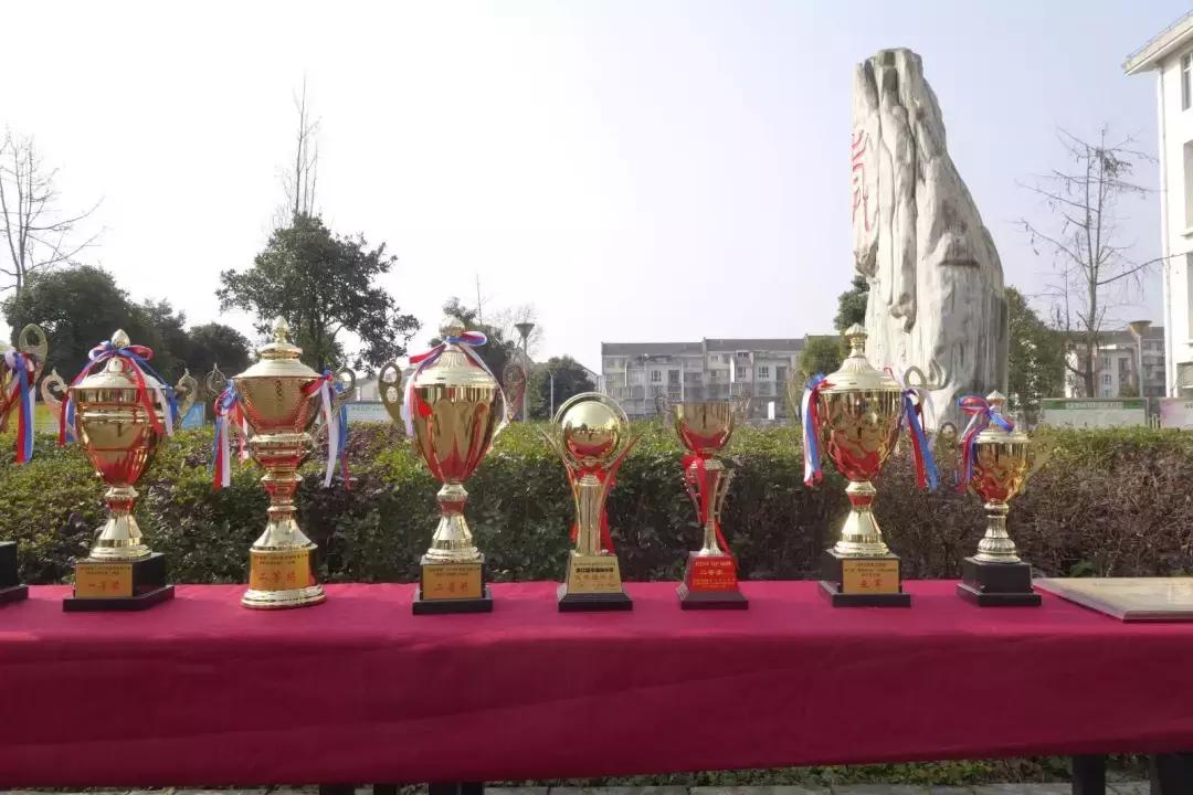 都江堰足球比赛,都江堰市第八届校园足球联赛