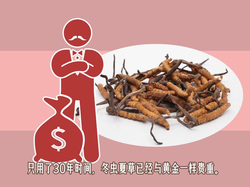 为什么网上说的冬虫夏草那么贵 (网上冬虫夏草为什么那么便宜)