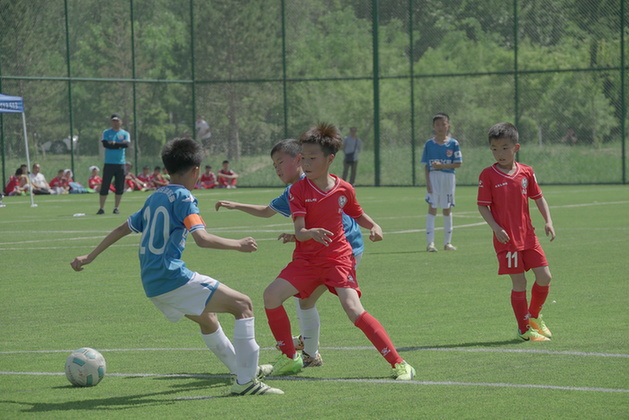 越南足球赢球后现状,越南足球崛起给中国足球的启示