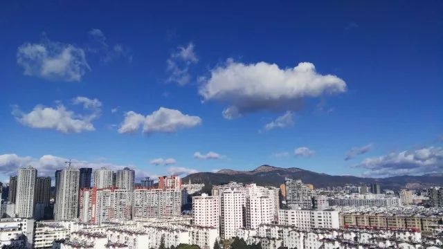 春城秀红嘴鸥图片,春城冬日美景