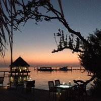 马尔代夫神仙珊瑚岛攻略,马尔代夫神仙珊瑚岛视频