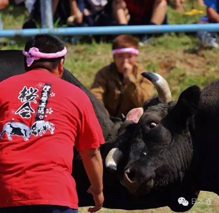 千万不要去的岛,去冲绳的7大理由看完立刻想出发