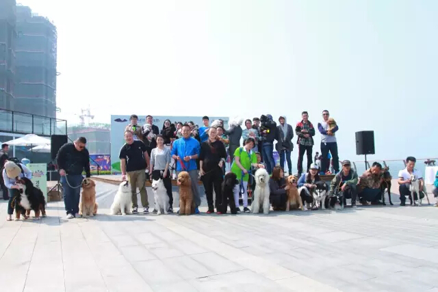 鏉ヨ繖閲屾劅鍙楃儫鐏皵鍜屽褰╀笉澶滃煄,鏉ヨ繖閲屼綋楠屼笘澶栨婧愮殑鎰熻