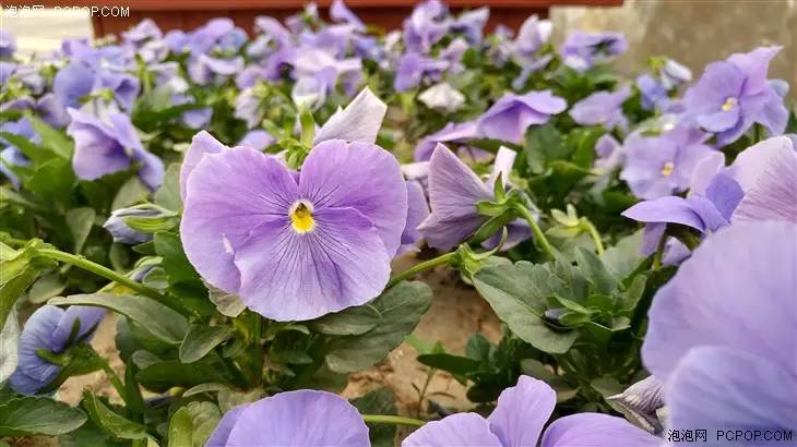 模块化可拆卸的手机,lgg5手机品质怎样