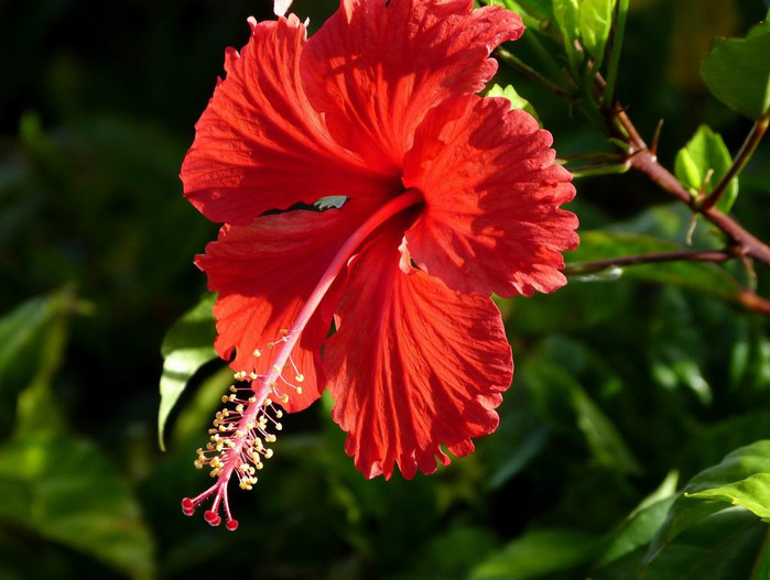 长滩之旅分享篇,长滩旅游行程