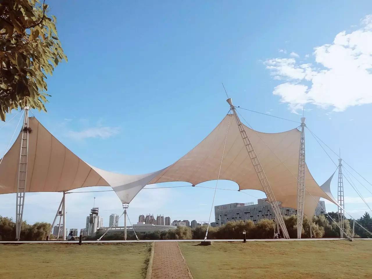 招生｜合肥工业大学2018年高水平运动队招生简章