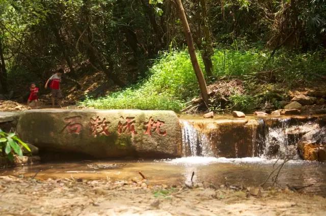广州遛娃周边游玩好去处,广州市区遛娃打卡好玩的地方