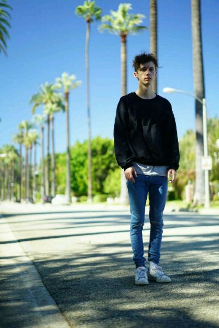 乐坛超新星！特洛耶·希文强势回归