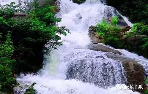 临朐方言潍坊人听不懂,临朐方言总汇