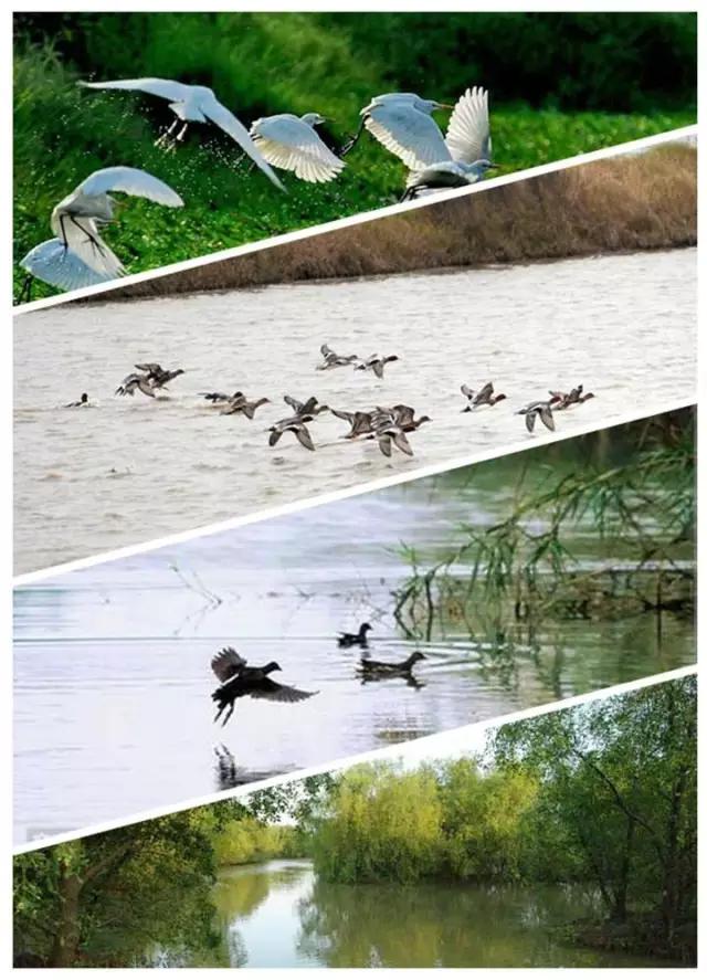 从A到Z，26个字母，看透大南沙！